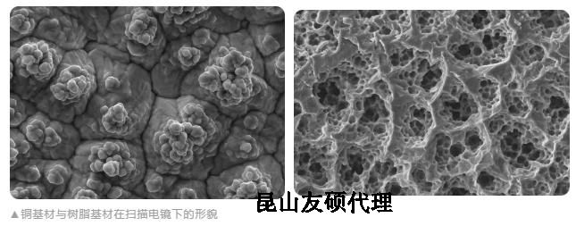 茂名蔡司茂名扫描电镜