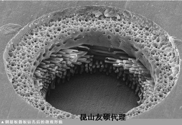 茂名蔡司茂名扫描电镜